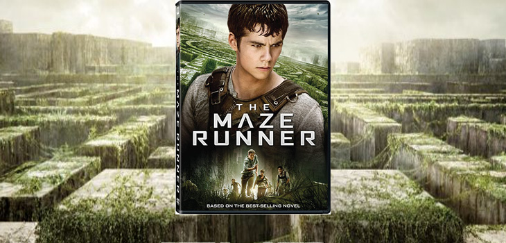 Movie Showing: Maze Runner - Dripping Springs Community Library